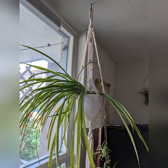 Macrame Plant Hangers - Picture 2 of 7